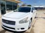 2010 WHITE NISSAN MAXIMA S (1N4AA5APXAC) with an 3.5L engine, Continuously Variable transmission, located at 4415 NE 28th St., Haltom City, TX, 76117, (817) 222-9334, 0.000000, 0.000000 - Photo#0