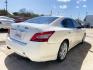 2010 WHITE NISSAN MAXIMA S (1N4AA5APXAC) with an 3.5L engine, Continuously Variable transmission, located at 4415 NE 28th St., Haltom City, TX, 76117, (817) 222-9334, 0.000000, 0.000000 - Photo#5